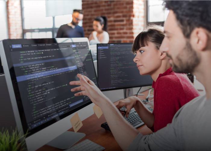 Custom Application Development